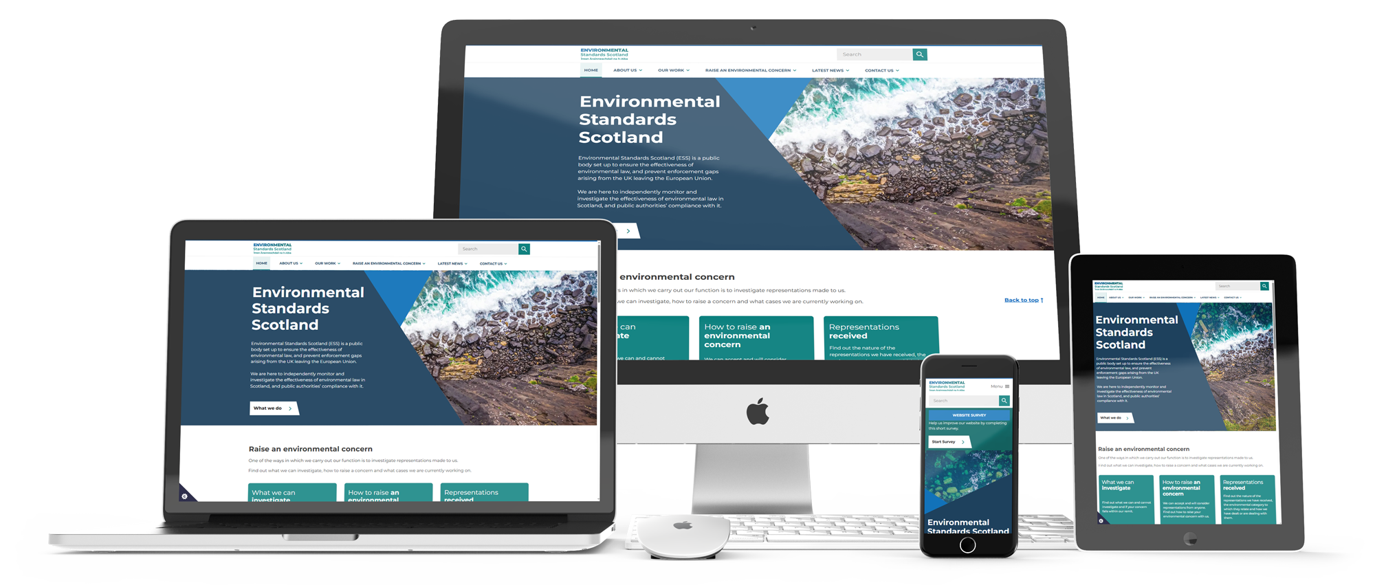 Screen Mockups of the ESS website