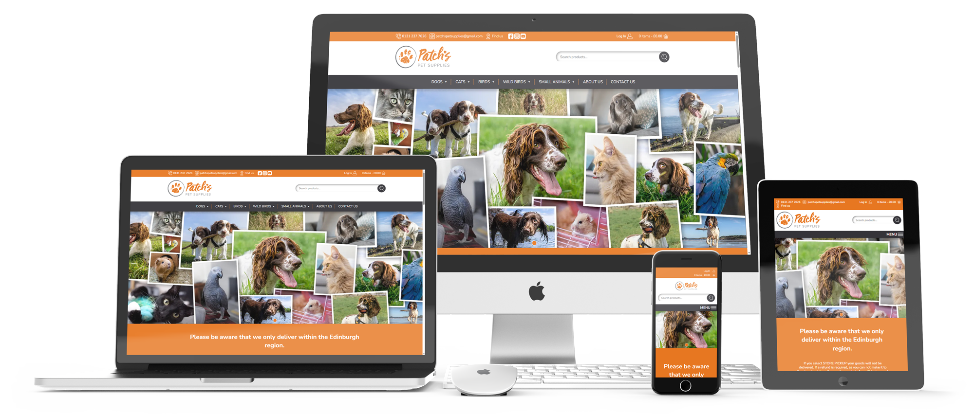Screen Mockups of the Ingentium website